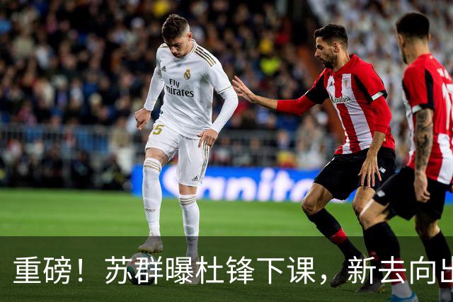 重磅！苏群曝杜锋下课，新去向出炉，球迷喊话杨鸣接手，能行吗？